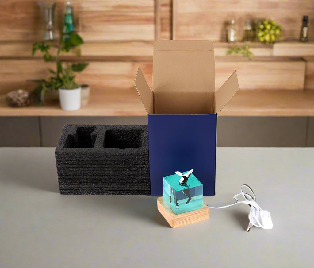Cubo Luminoso in Resina — Vita dell'Oceano