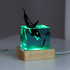 Cubo Luminoso in Resina — Vita dell'Oceano