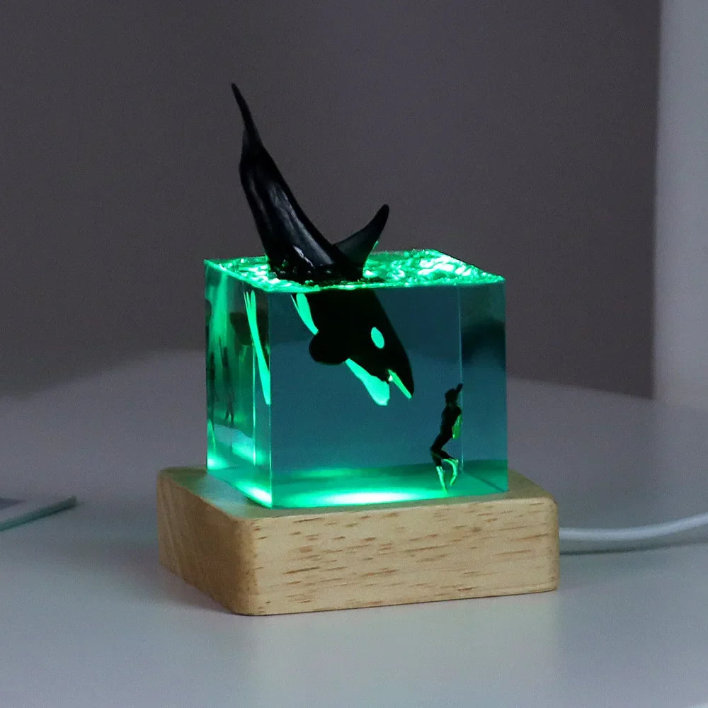 Cubo Luminoso in Resina — Vita dell'Oceano