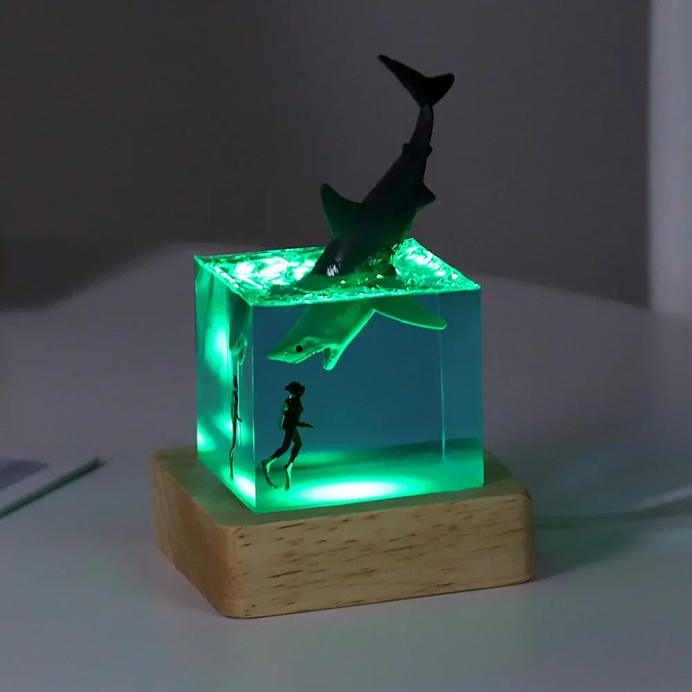 Cubo Luminoso in Resina — Vita dell'Oceano
