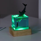 Cubo Luminoso in Resina — Vita dell'Oceano