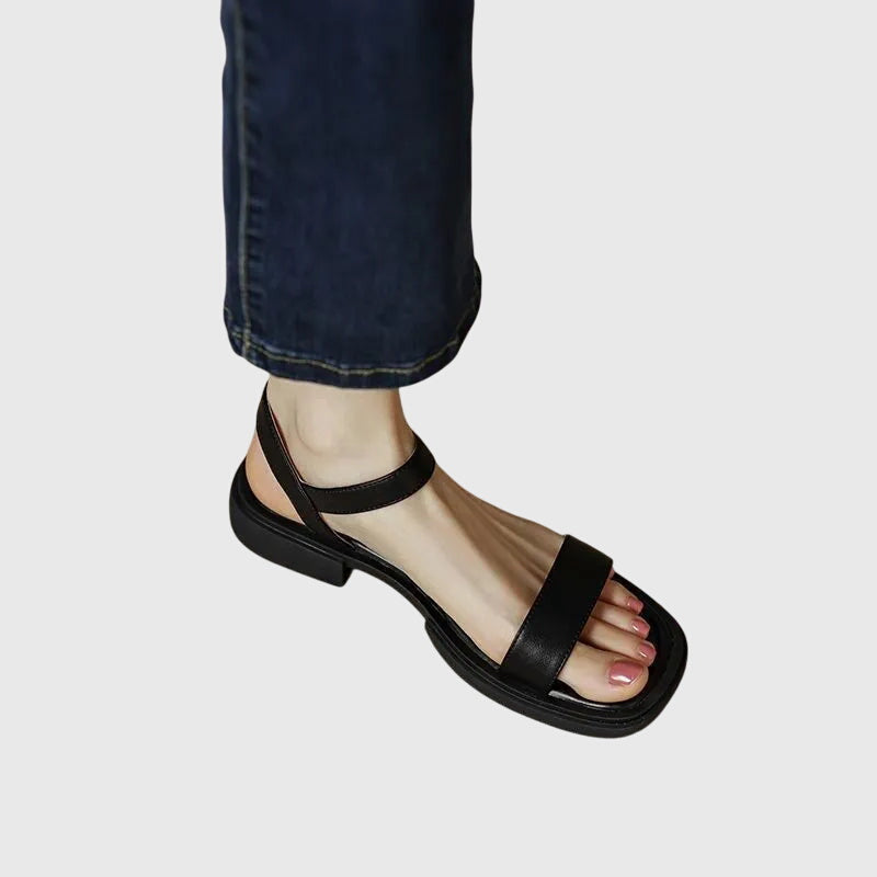 https://cdn.shopify.com/s/files/1/0925/5895/0777/files/5ee7a1767a7b45418745d44a94be1df8.jpg?v=1782165215