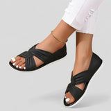 https://cdn.shopify.com/s/files/1/0925/5895/0777/files/0aa128a6cb68beadd9c6415ea7fcba95-Photoroom_214e4963-dda7-4cf9-b9ed-c83caae4f145.jpg?v=1779543354